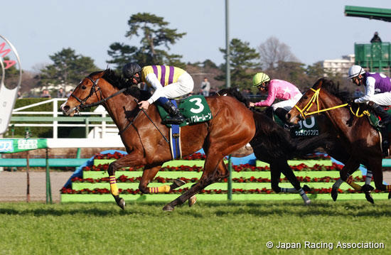 Laurel R.C. Sho Nakayama Himba Stakes (G3)