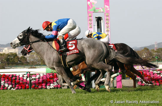 Hochi Hai Fillies' Revue (Japanese 1,000 Guineas Trial) (G2)