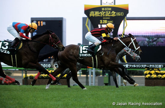 Chunichi Sports Sho Falcon Stakes (G3)