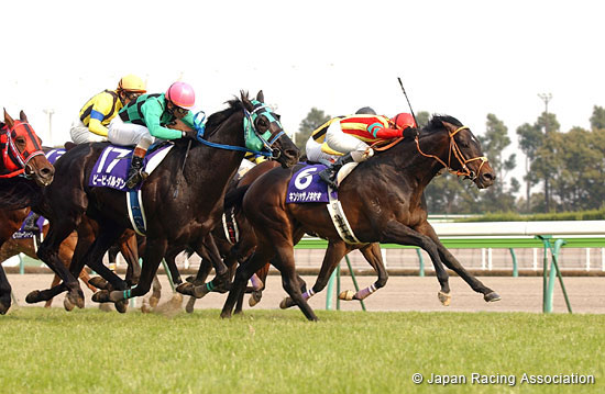 Takamatsunomiya Kinen (G1)