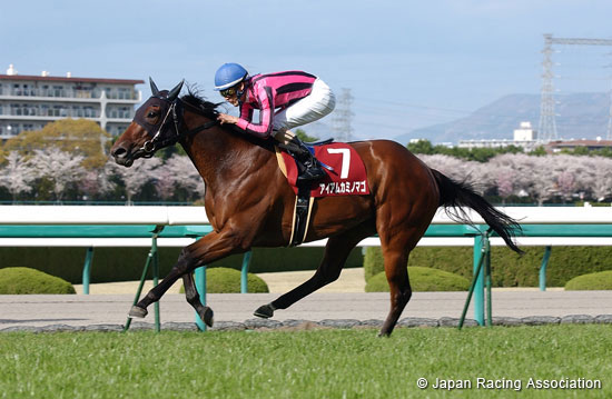 Sankei Sports Hai Hanshin Himba Stakes (G2)