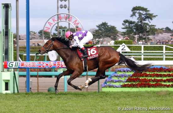 New Zealand Trophy (NHK Mile Cup Trial) (G2)