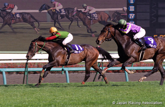 Nakayama Grand Jump  (International Invitational) (J-G1)