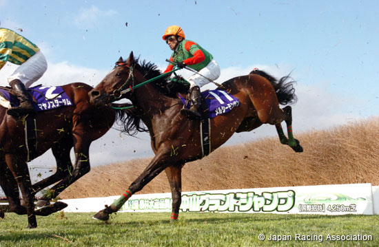 Nakayama Grand Jump  (International Invitational) (J-G1)