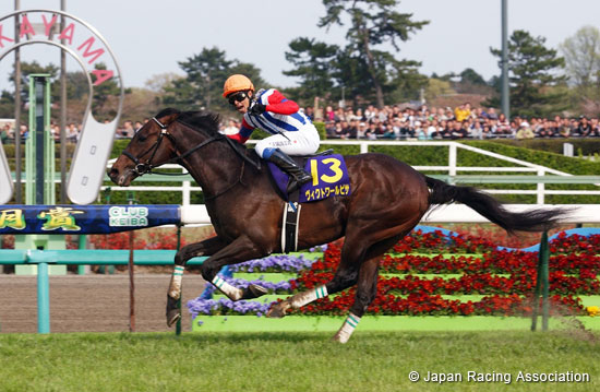 Satsuki Sho (Japanese 2000 Guineas) (G1)