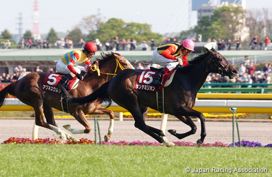 Sankei Sports Sho Flora Stakes (Japanese Oaks Trial) (G2)