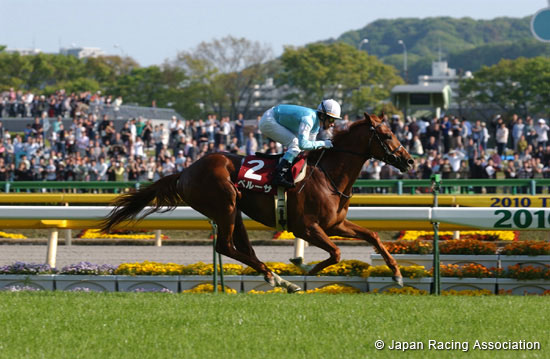 TV Tokyo Hai Aoba Sho (Japanese Derby Trial) (G2)