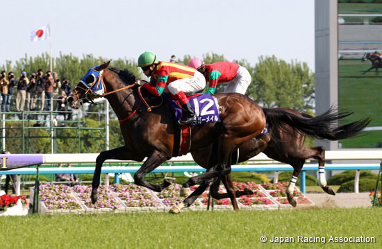 Tenno Sho (Spring) (G1)