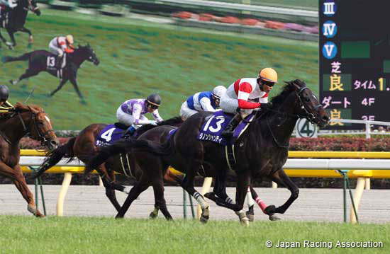 NHK Mile Cup (G1)