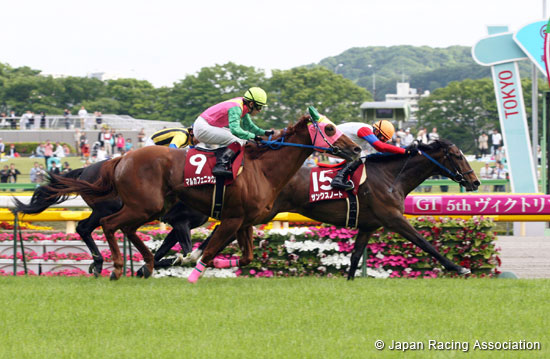 Keio Hai Spring Cup (G2)