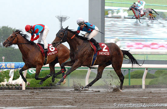 Tokai TV Hai Tokai Stakes (G2)