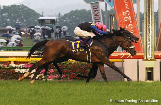 Yushun Himba (Japanese Oaks) (G1)