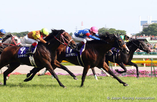 Yasuda Kinen (G1)