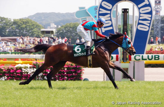 Tokyo Jump Stakes (J-G3)