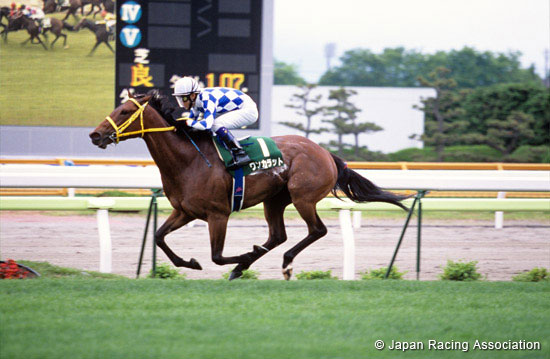 Hakodate Sprint Stakes (G3)