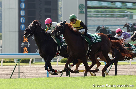 Kokura Kinen (G3)