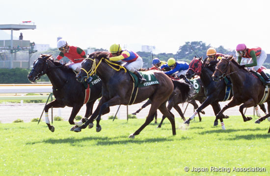 Hakodate Nisai Stakes (G3)