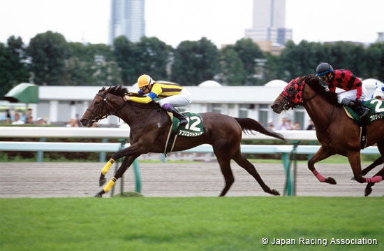 Hokkaido Shimbun Hai Queen Stakes (G3)