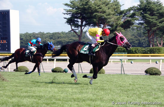 Niigata Jump Stakes (J-G3)