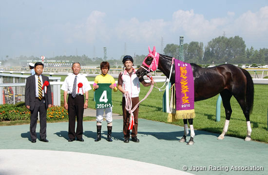 Niigata Jump Stakes (J-G3)