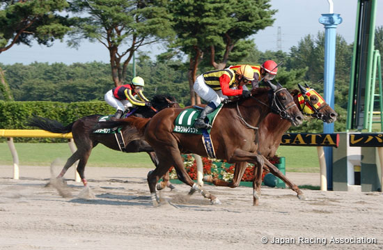 Leopard Stakes