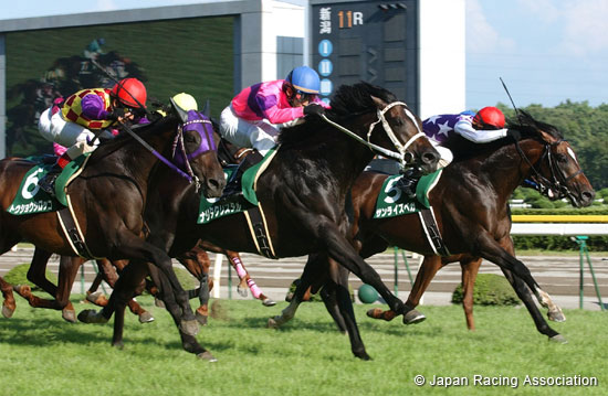 Niigata Kinen (G3)