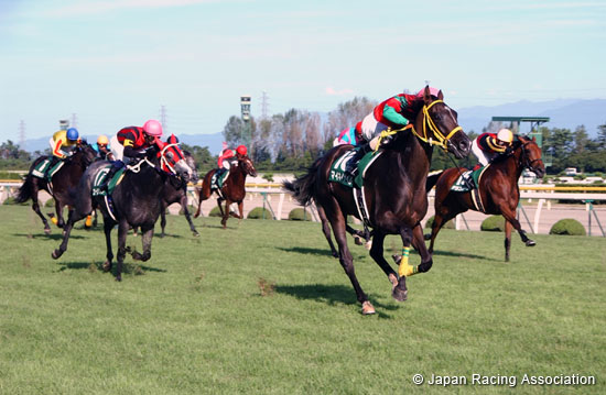 Niigata Nisai Stakes (G3)