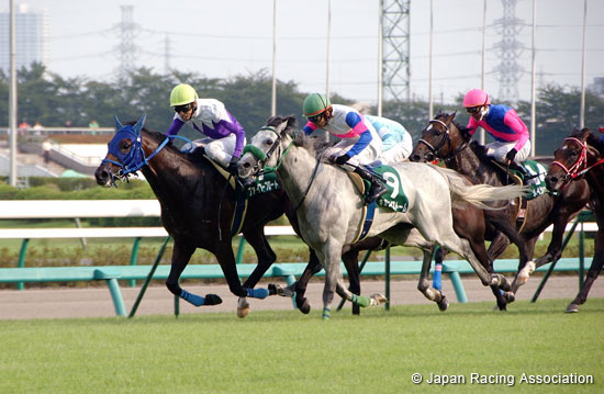 Keisei Hai Autumn Handicap (G3)