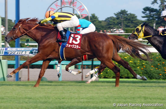 R. F. Radio Nippon Sho St. Lite Kinen (Japanese St. Leger Trial) (G2)