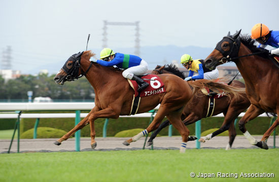 Kansai Telecasting Corp. Sho Rose Stakes (Shuka Sho Trial) (G2)