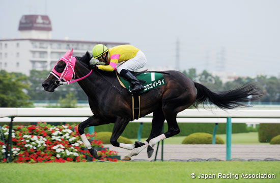 Hanshin Jump Stakes (J-G3)