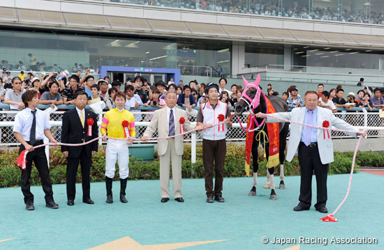 Hanshin Jump Stakes (J-G3)