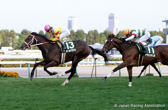 Sapporo Nisai Stakes (G3)