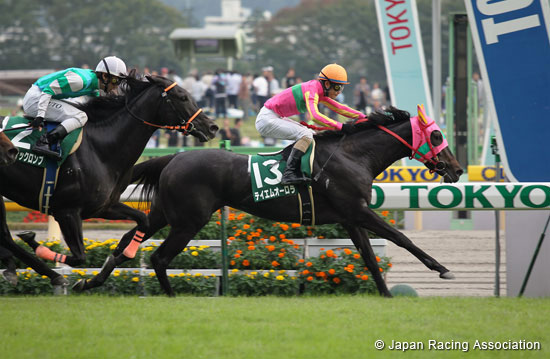 Fuchu Himba Stakes (G3)