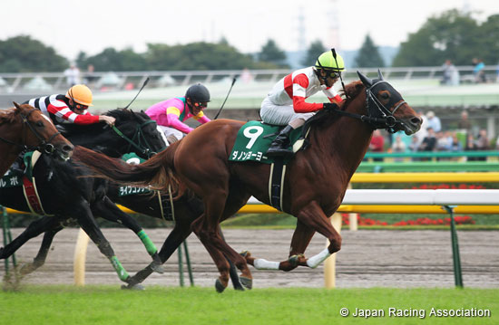 Saudi Arabia Royal Cup Fuji Stakes (G3)