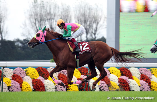 Mainichi Broadcast. Swan Stakes (G2)