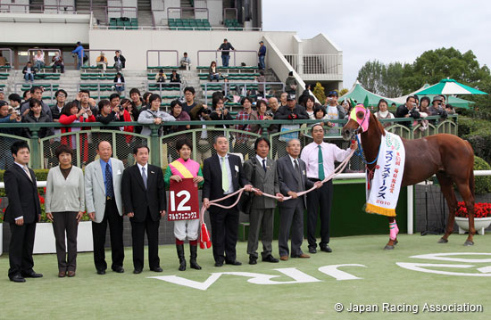 Mainichi Broadcast. Swan Stakes (G2)