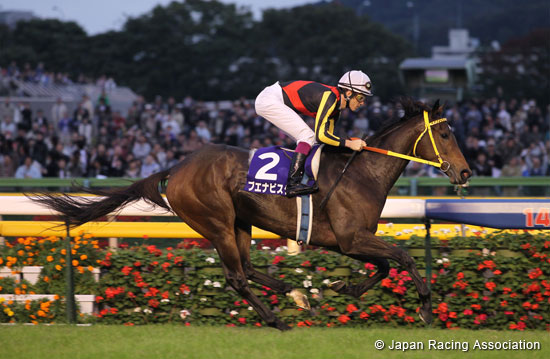 Tenno Sho (Autumn) (G1)