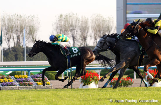 KBS Kyoto Sho Fantasy Stakes (G3)