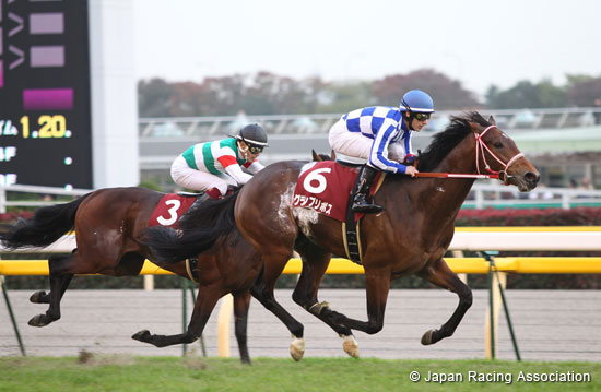 Keio Hai Nisai Stakes (G2)