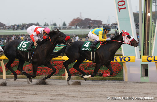 Tokyo Chunichi Sports Hai Musashino Stakes (G3)