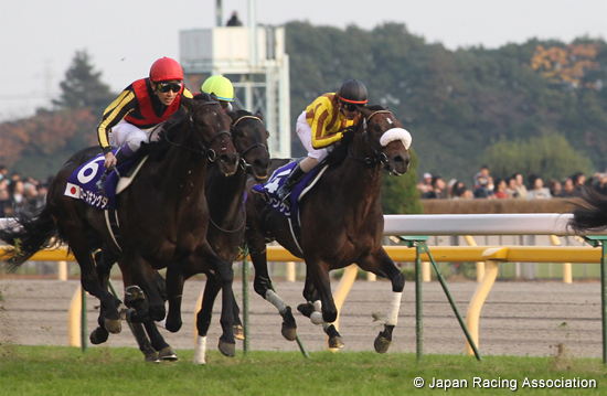 Japan Cup (International Invitational) (G1)