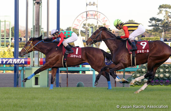 Sports Nippon Sho Stayers Stakes (G2)