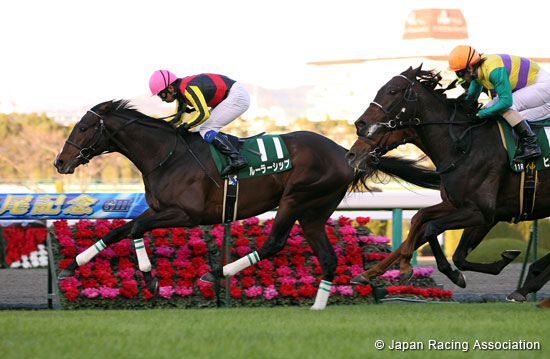 Naruo Kinen (G3)