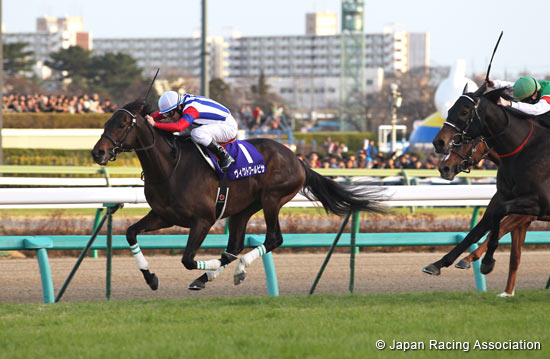 Arima Kinen (The Grand Prix) (G1)