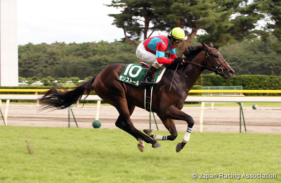 Niigata Nisai Stakes (G3)