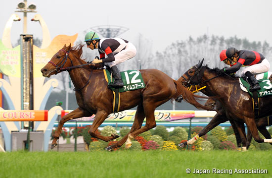 KBS Kyoto Sho Fantasy Stakes (G3)