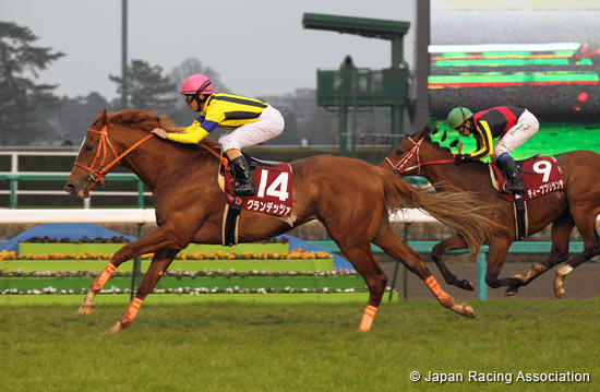 Fuji TV Sho Spring Stakes (Japanese 2,000 Guineas Trial) (G2)