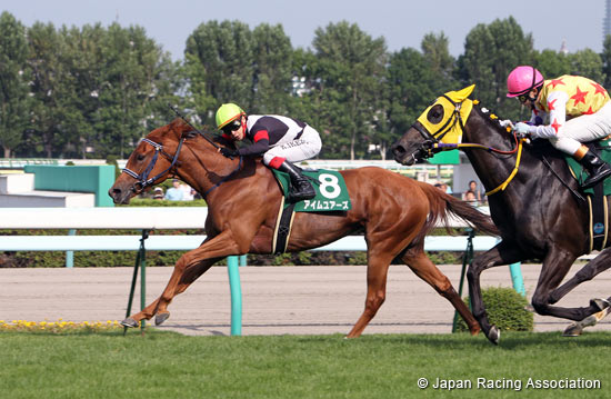 Hokkaido Shimbun Hai Queen Stakes (G3)
