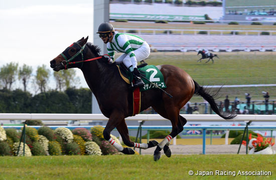 Kyoto Jump Stakes (J-G3)